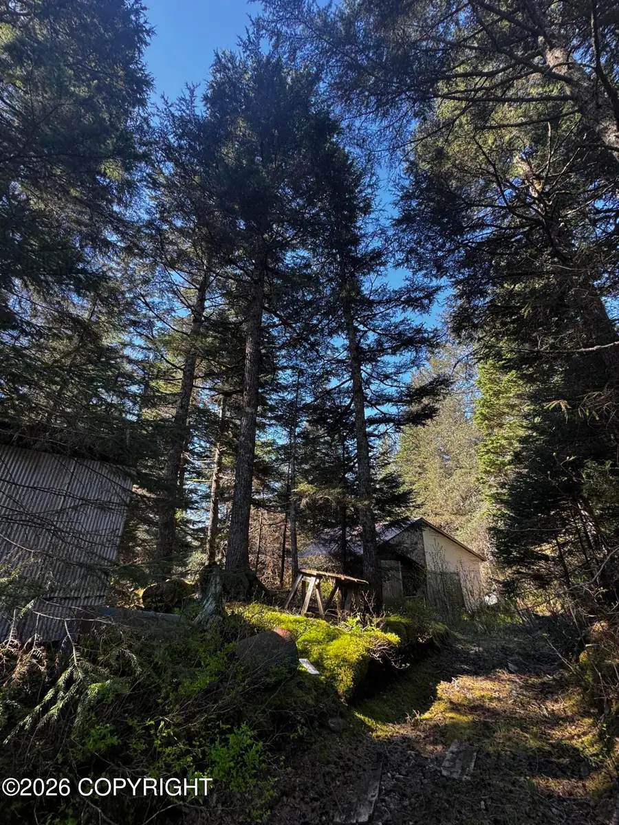 15485 Grouse Creek Road, Seward, AK 99664 - #2