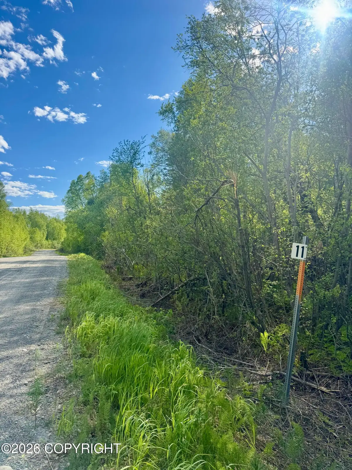 36248 S Oilwell Road, Trapper Creek, AK 99683 - #1