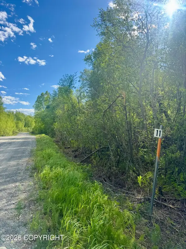 36248 S Oilwell Road, Trapper Creek, AK 99683