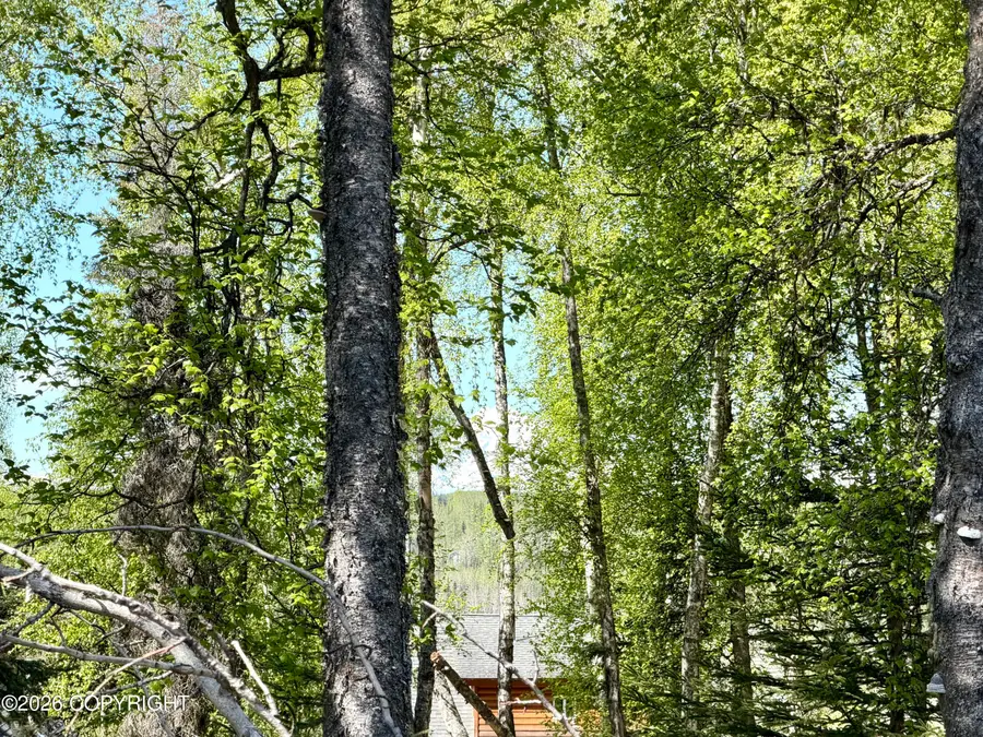 36255 Denbrock Street, Soldotna, AK 99669 - #3