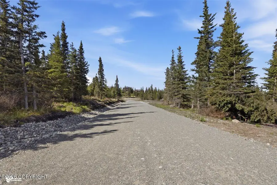 L2 Prospector Creek, Anchorage, AK 99516 - #2
