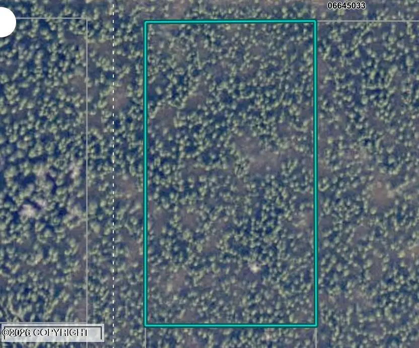 35190 Arms Street, Soldotna, AK 99669 - #1