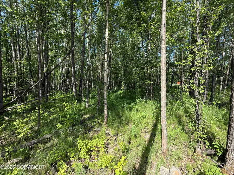 10720 S Old Glenn Highway, Palmer, AK 99645 - #2