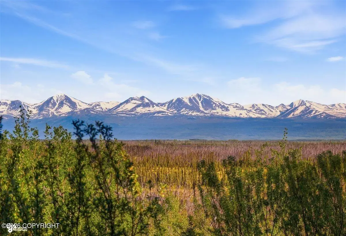 36210 Cottontree Lane, Sterling, AK 99672 - #1