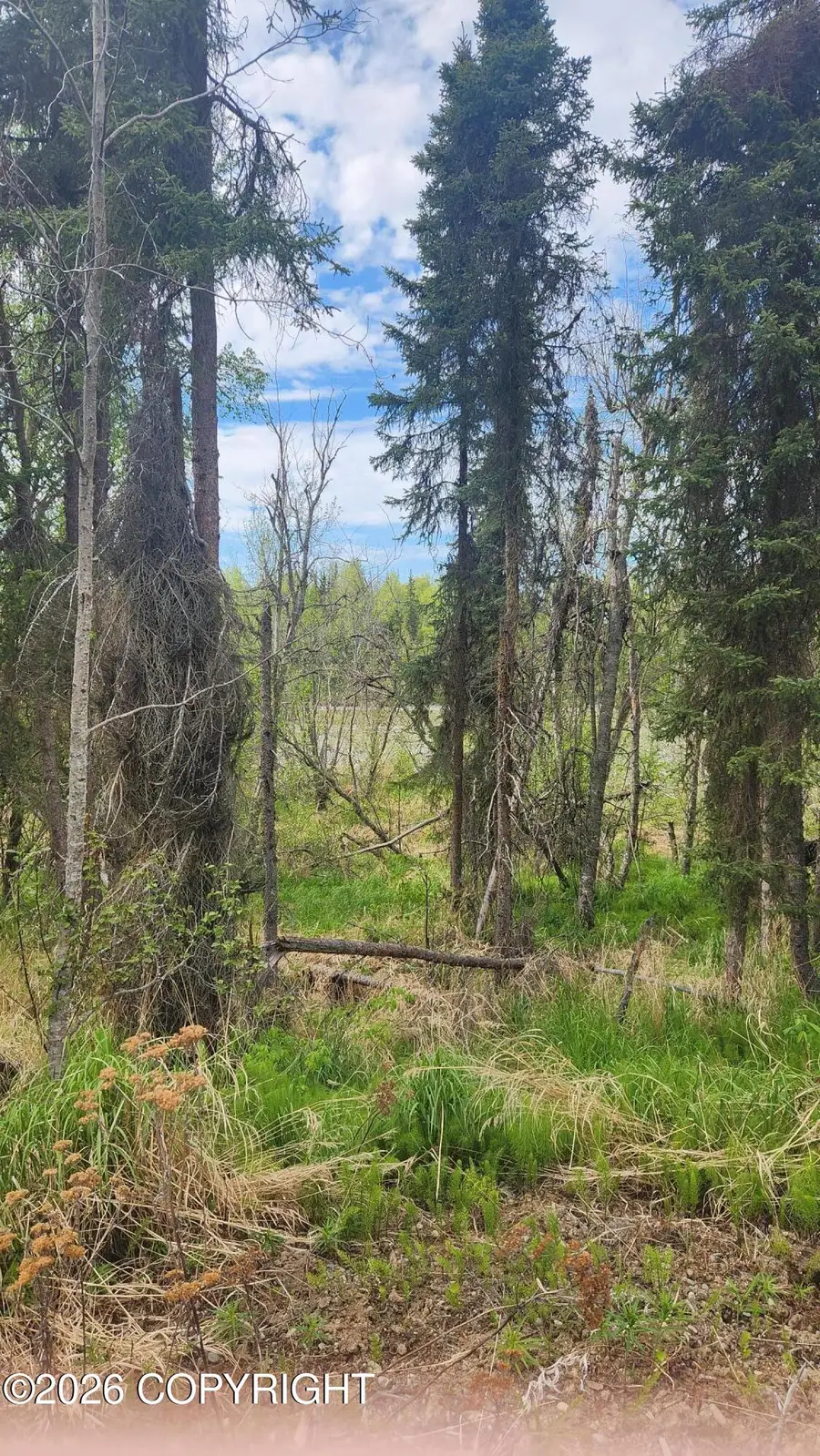 365 Harbor Terrace, Soldotna, AK 99669 - #2