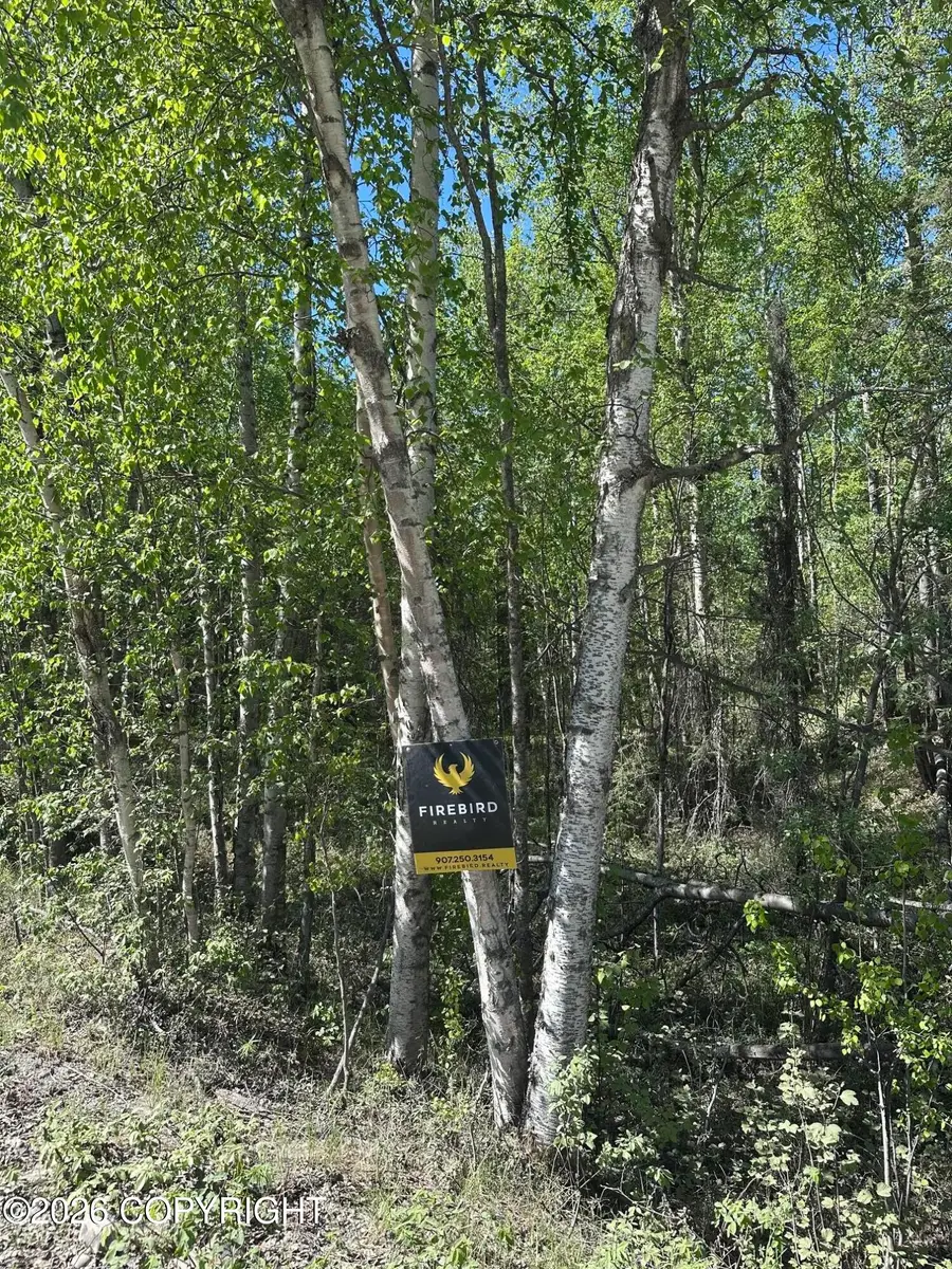 00000 N Rainbow Park Drive, Wasilla, AK 99654 - #2