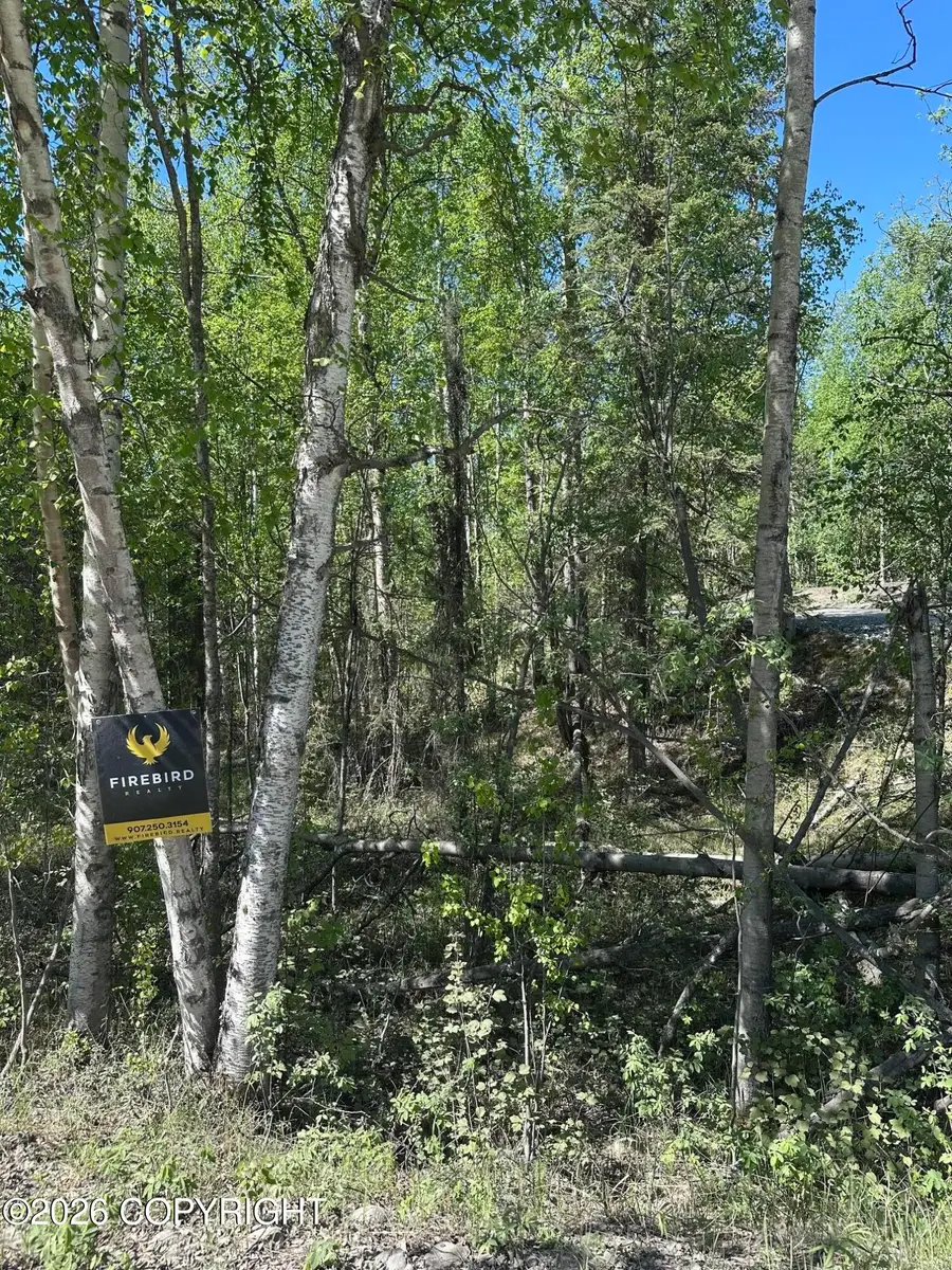 00000 N Rainbow Park Drive, Wasilla, AK 99654 - #3