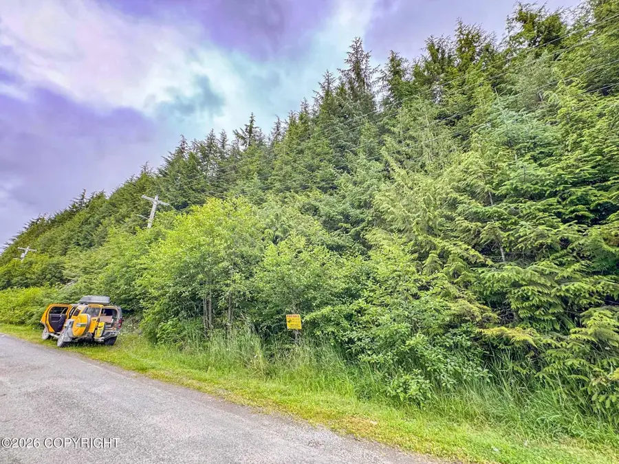 Lot DC-4 Shoreline Drive, Thorne Bay, AK 99919 - Image #2