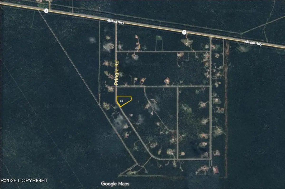 L18 B9 Pringle Road, Tok, AK 99780 - #1