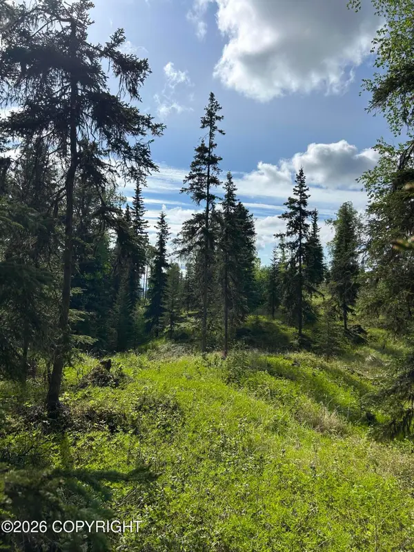 34815 Schwalm Road, Soldotna, AK 99669