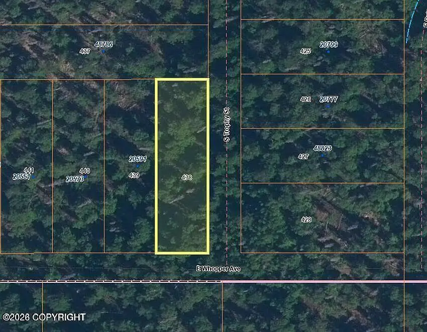 L438 E Whopper Avenue, Willow, AK 99688 - #1