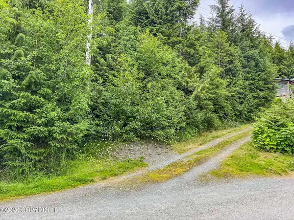 Lot DC-5 Shoreline Drive, Thorne Bay, AK 99919