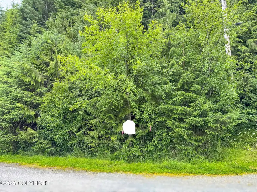 Lot DC-5 Shoreline Drive, Thorne Bay, AK 99919 - Image #2