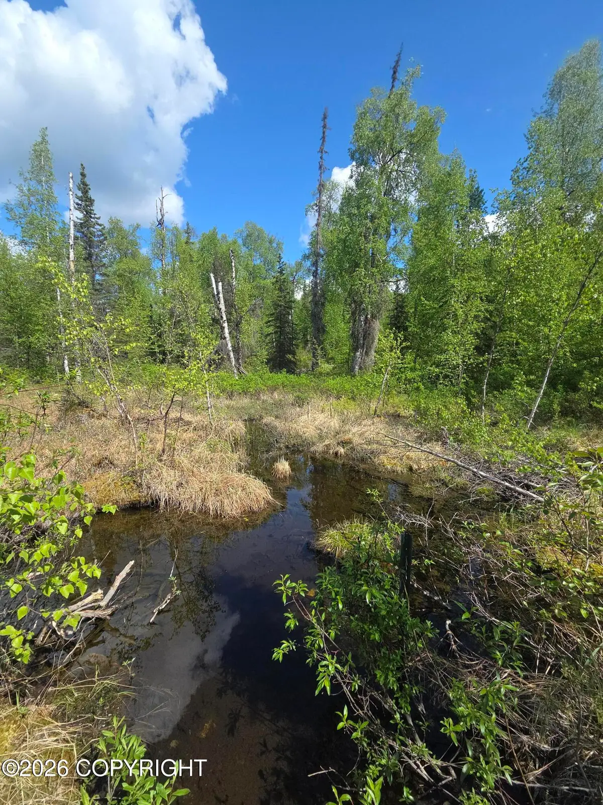 36055 S Malaspina Loop, Talkeetna, AK 99676 - #1
