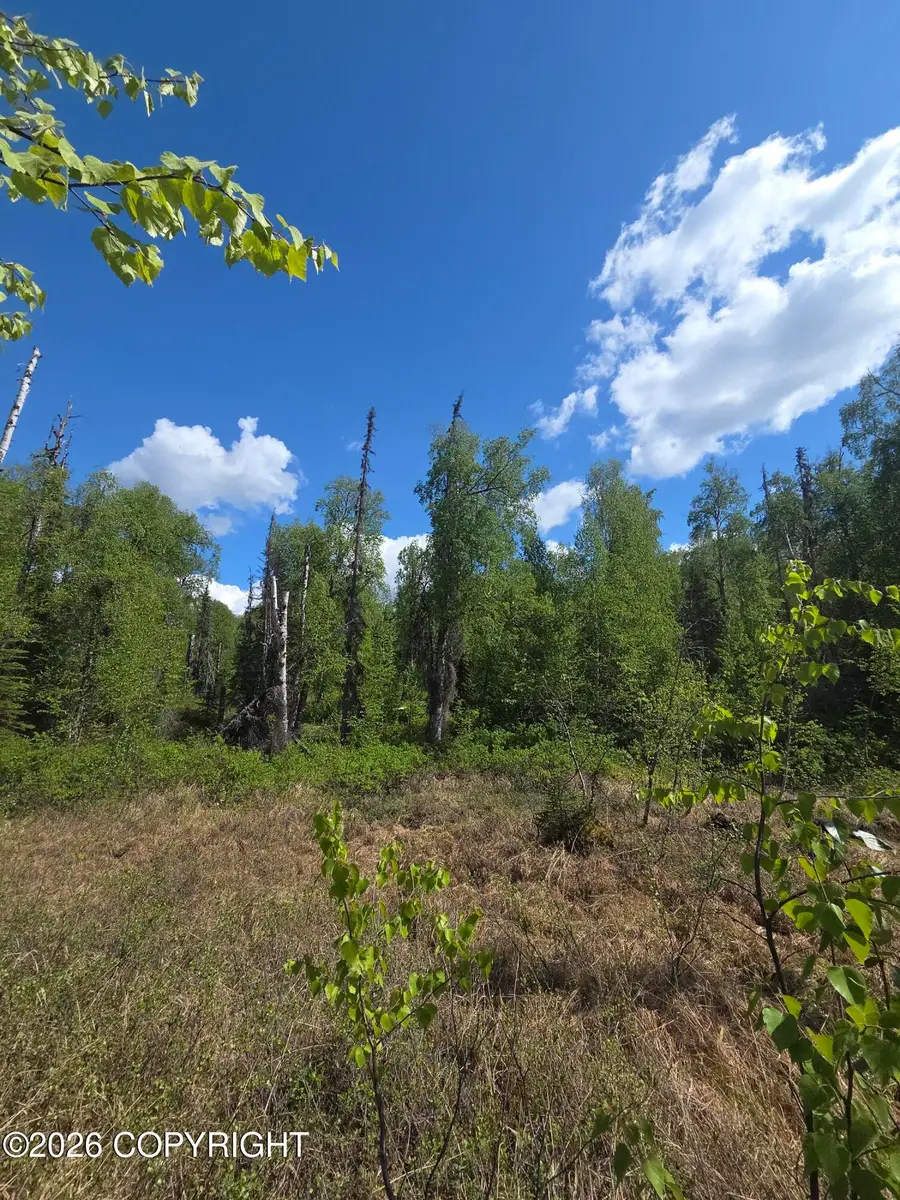36055 S Malaspina Loop, Talkeetna, AK 99676 - #2