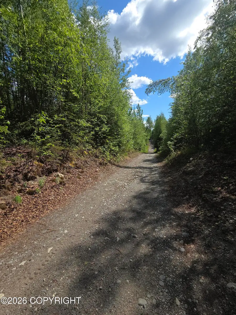 36055 S Malaspina Loop, Talkeetna, AK 99676 - #3