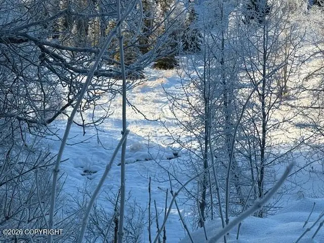 000 Rounds Rd. To Charlies Way, Nikiski, AK 99611 - Image #3