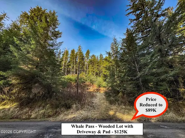 Lot 7 Usfs 30 Road, Whale Pass, AK 99927