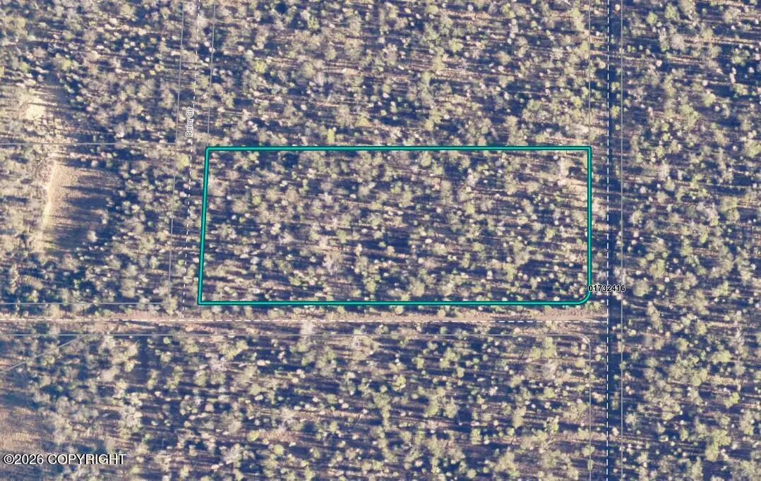 L5 Red Salmon Avenue, Kenai Cook Inlet, AK 99635 - #1
