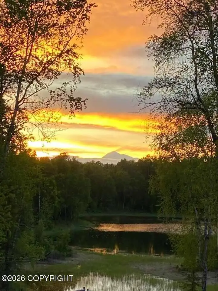 L1 B3 Wolfglen, Talkeetna, AK 99676 - #1