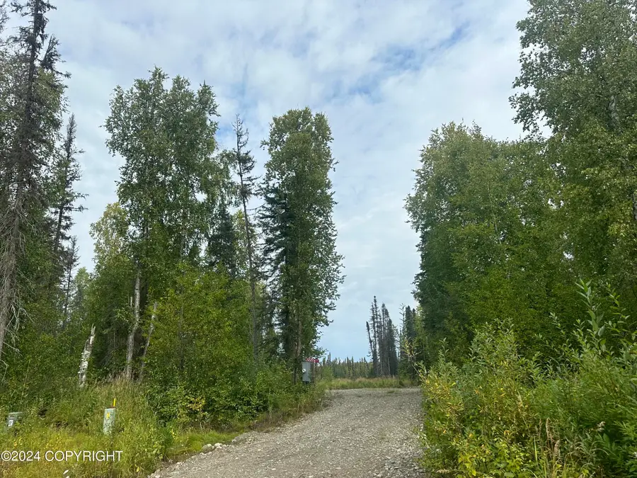 49365 S Noahs Circle, Willow, AK 99688 - #2