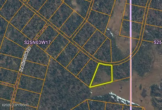 L11 B16 E Loriens Trail, Talkeetna, AK 99676 - #2