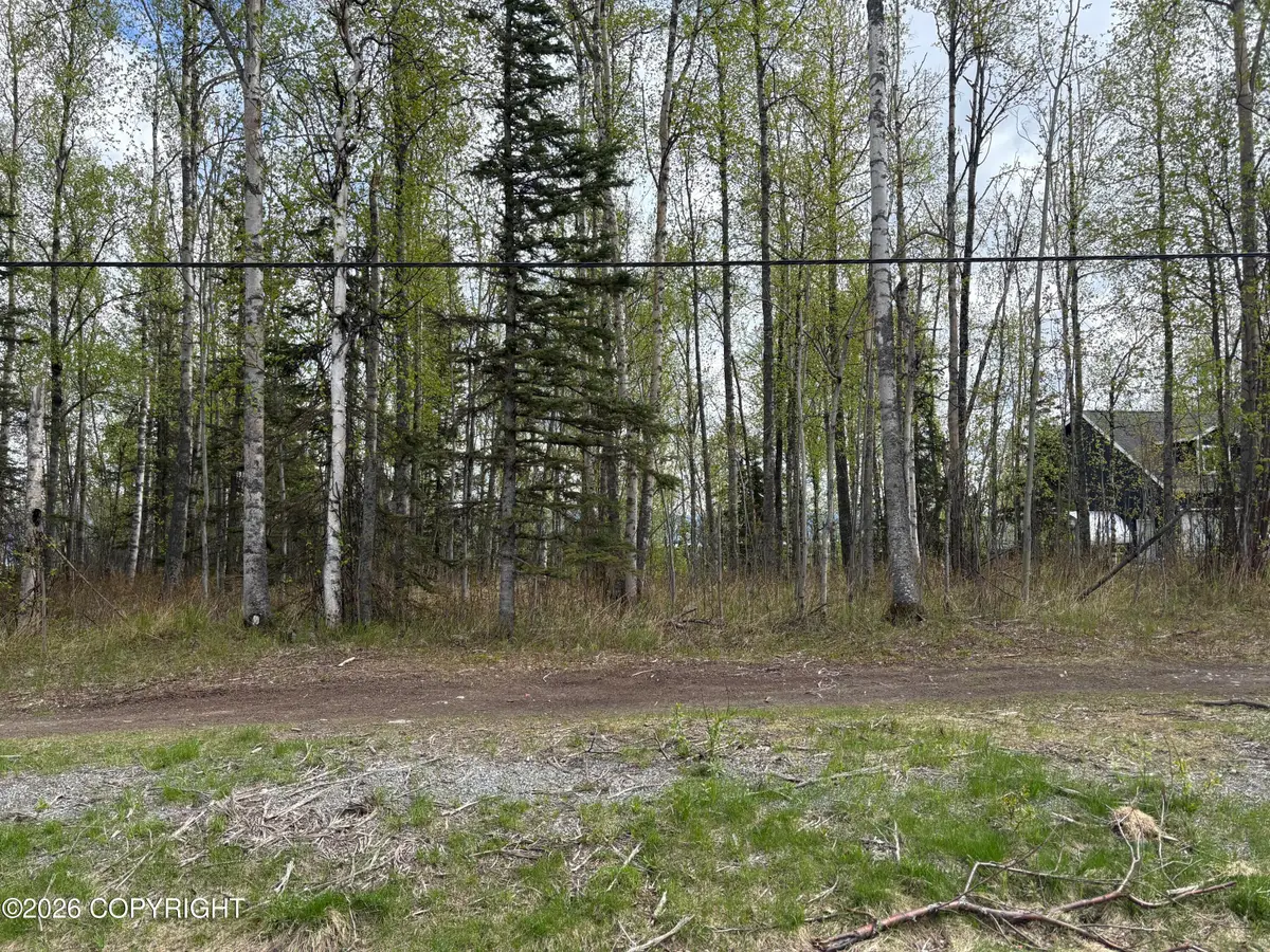 5201 S Outrigger Drive, Wasilla, AK 99623 - #1