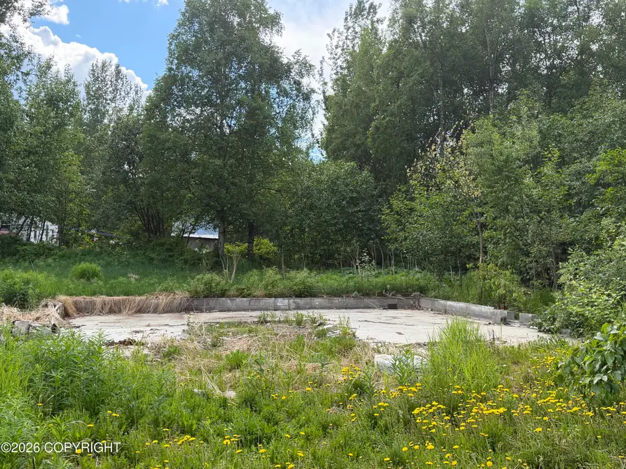 13680 E Constitution Drive, Palmer, AK 99645 - #3
