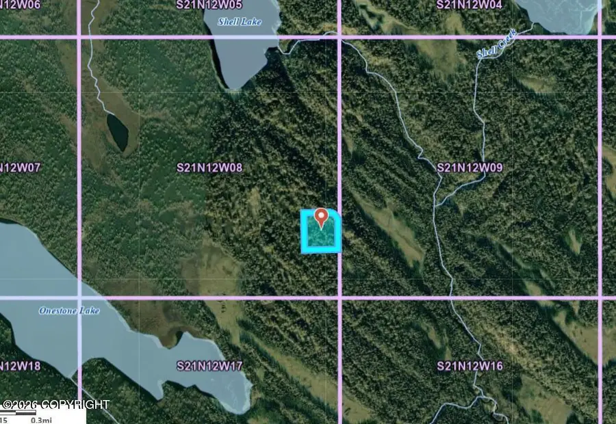 L3 B17 Onestone Lake, Skwentna, AK 99667 - #3