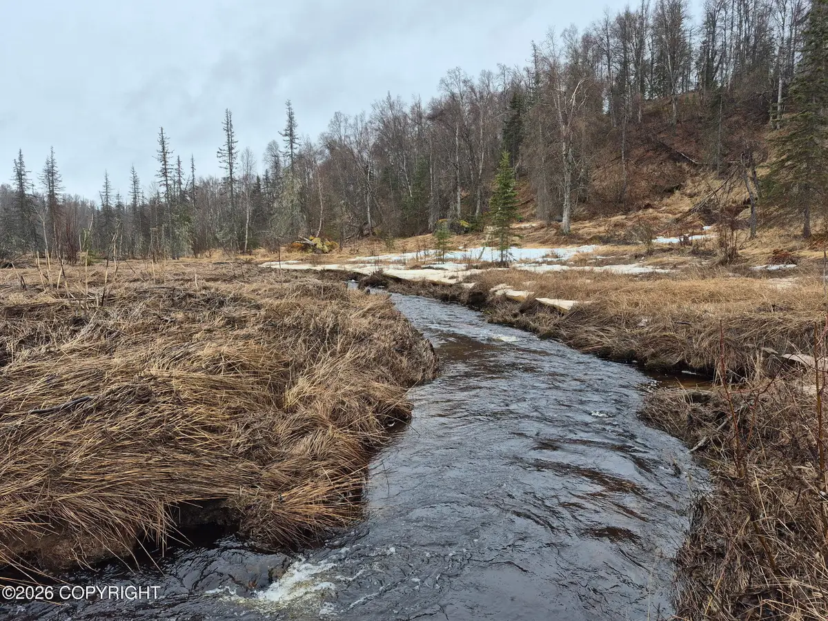 000 Asls 91-040, Trapper Creek, AK 99683 - #1