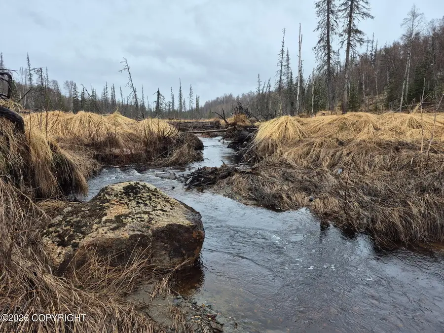000 Asls 91-040, Trapper Creek, AK 99683 - #2