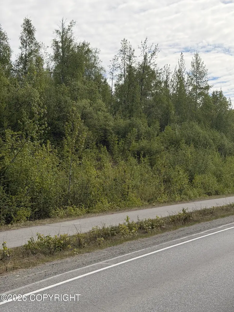 1421 N Church Road, Wasilla, AK 99654 - #3
