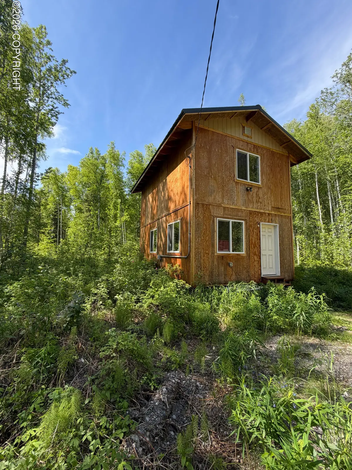 110 Chief Thomas Road, Nenana, AK 99760 - #1