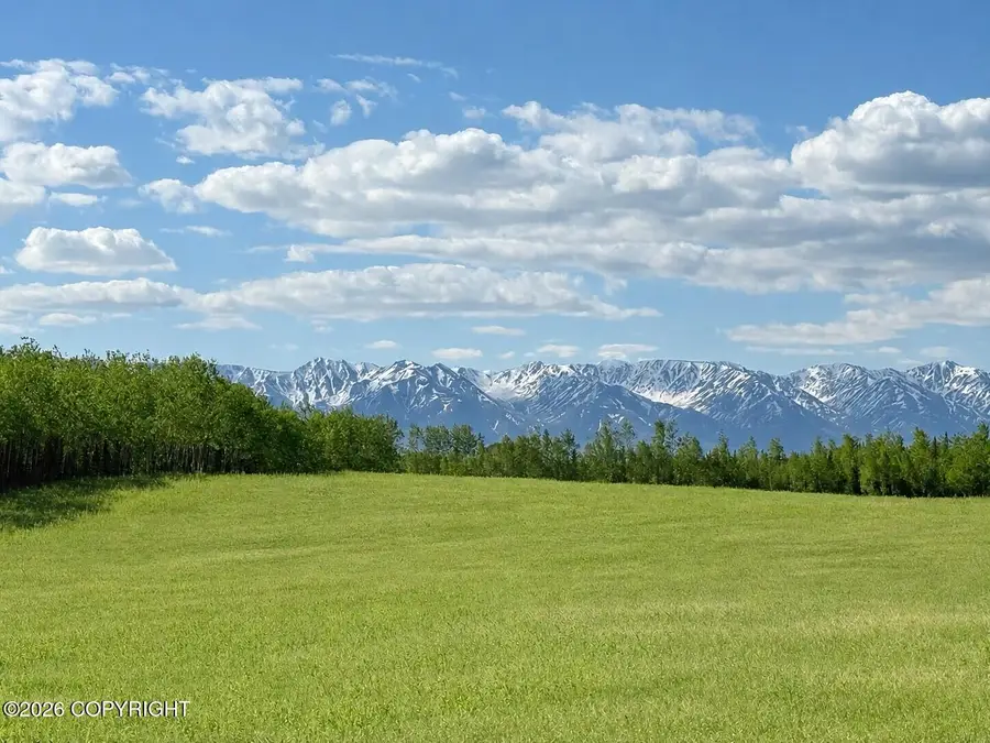 NHN Greensmith, Delta Junction, AK 99737 - #2
