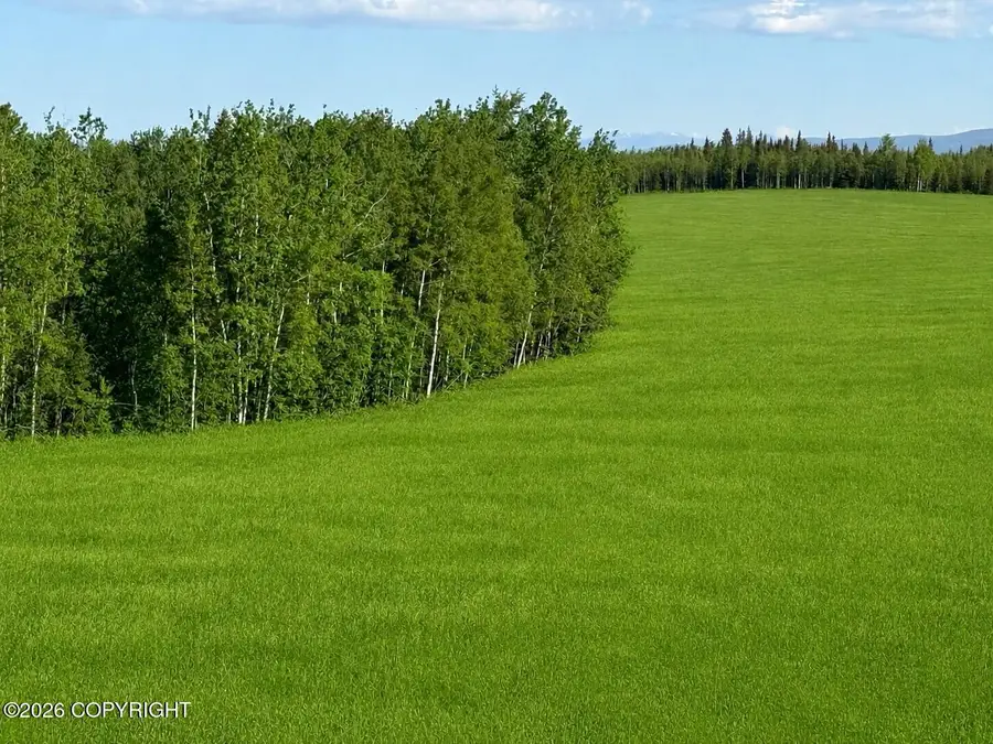 NHN Greensmith, Delta Junction, AK 99737 - #3