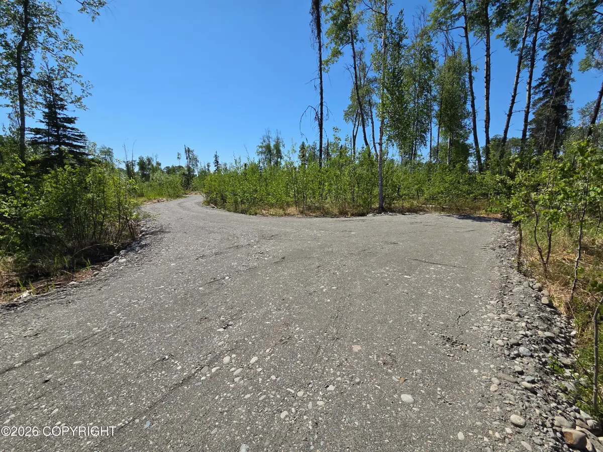 17749 E Yeldarb Avenue, Talkeetna, AK 99676 - #1