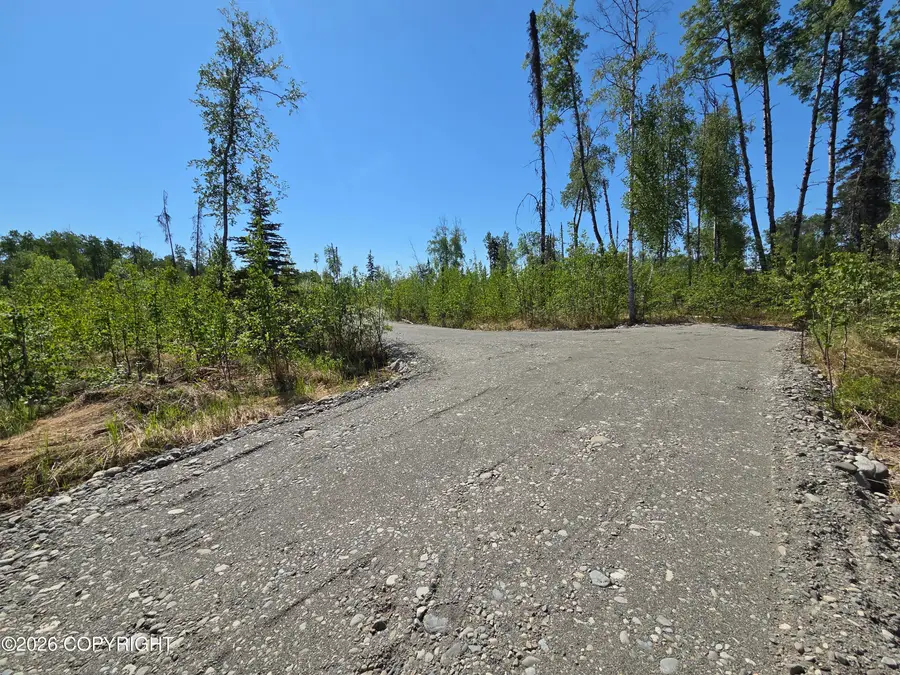 17749 E Yeldarb Avenue, Talkeetna, AK 99676 - #2