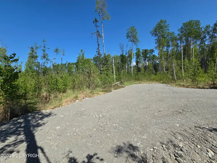 17749 E Yeldarb Avenue, Talkeetna, AK 99676 - #3