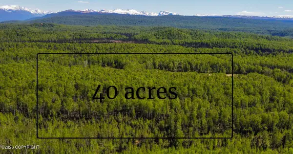 NHN No Road Name, Willow, AK 99688