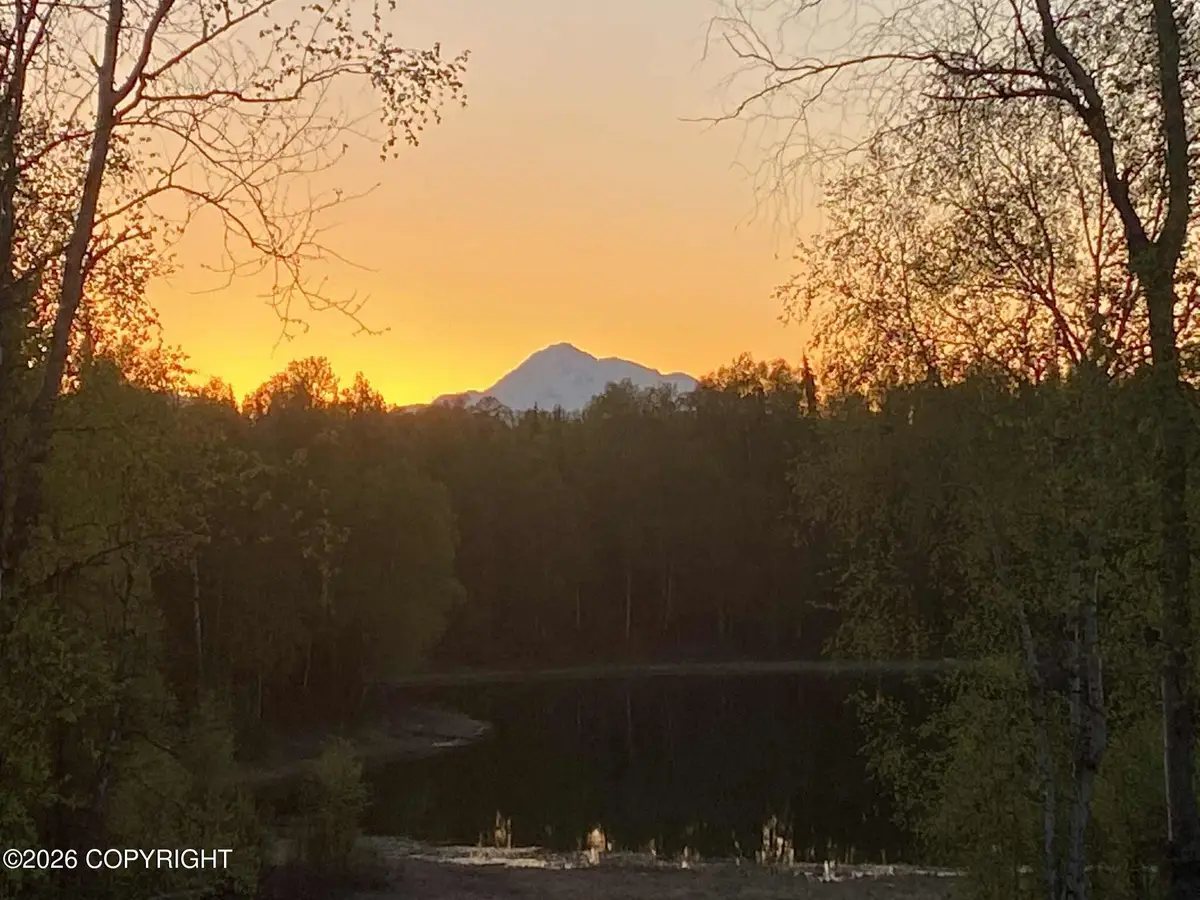 25476 S Wolf Track Road, Talkeetna, AK 99676 - #1