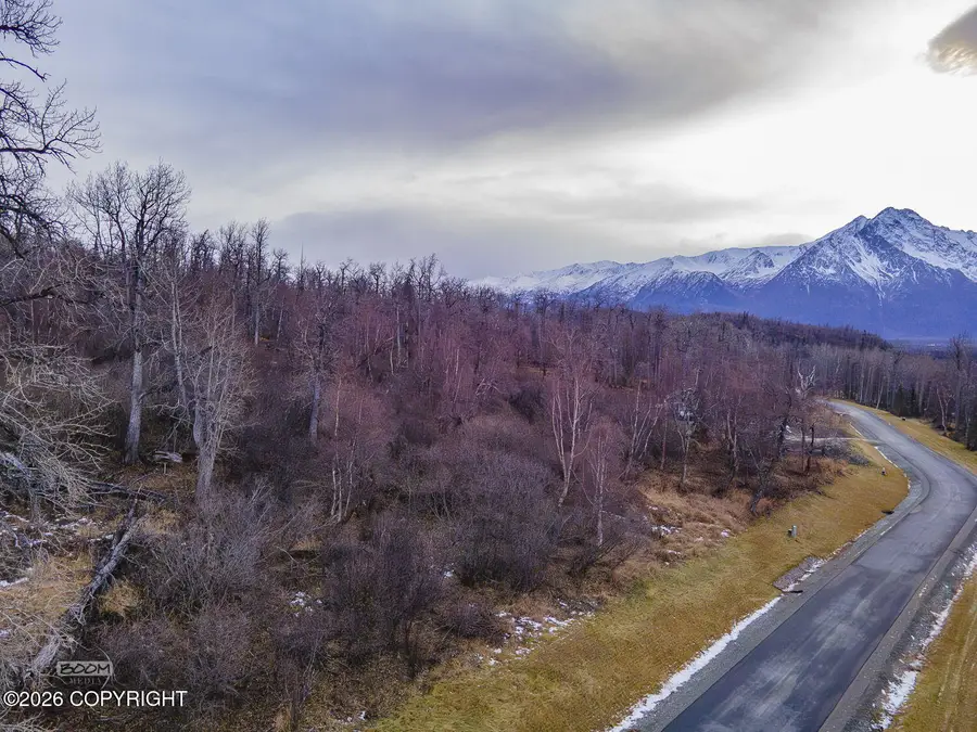 443 N Hale Circle, Palmer, AK 99645 - #2