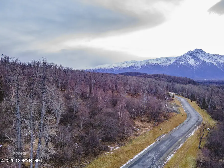 443 N Hale Circle, Palmer, AK 99645 - #3
