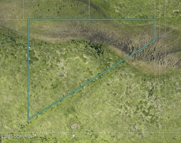 Lot 4B Tuttle - Burger Sub, Ninilchik, AK 99639