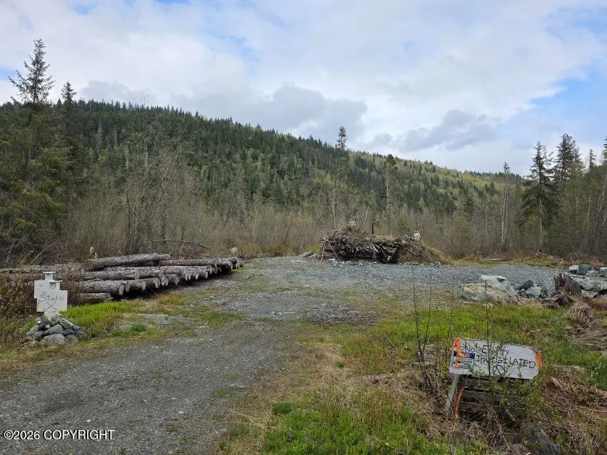 638 Mosquito Lake Road, Haines, AK 99827 - #1