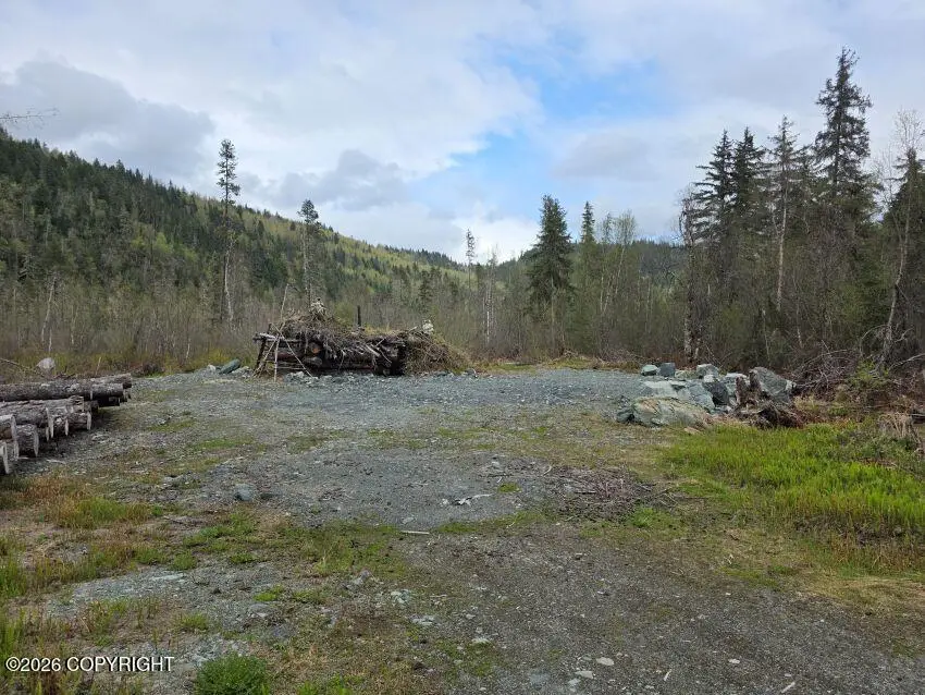 638 Mosquito Lake Road, Haines, AK 99827 - #3