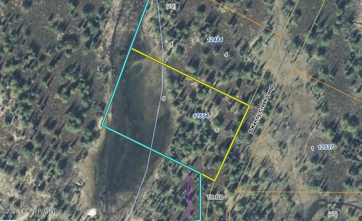 12554 S Kenny Creek Loop, Trapper Creek, AK 99683 - Image #1