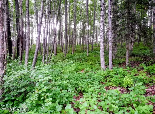 15274 W 4th Street, Wasilla, AK 99623