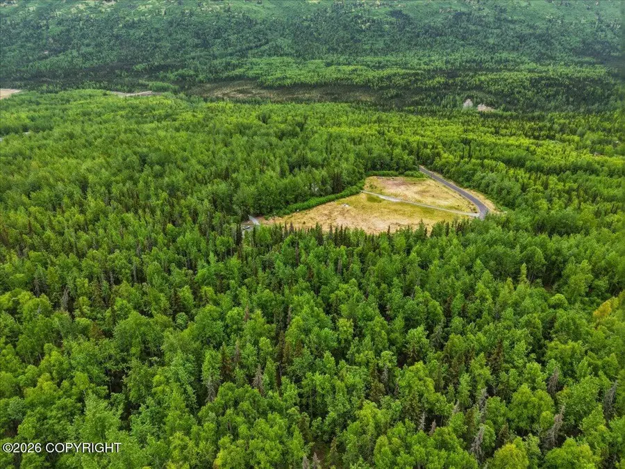 L2 Twin Peaks Drive, Chugiak, AK 99567 - #3
