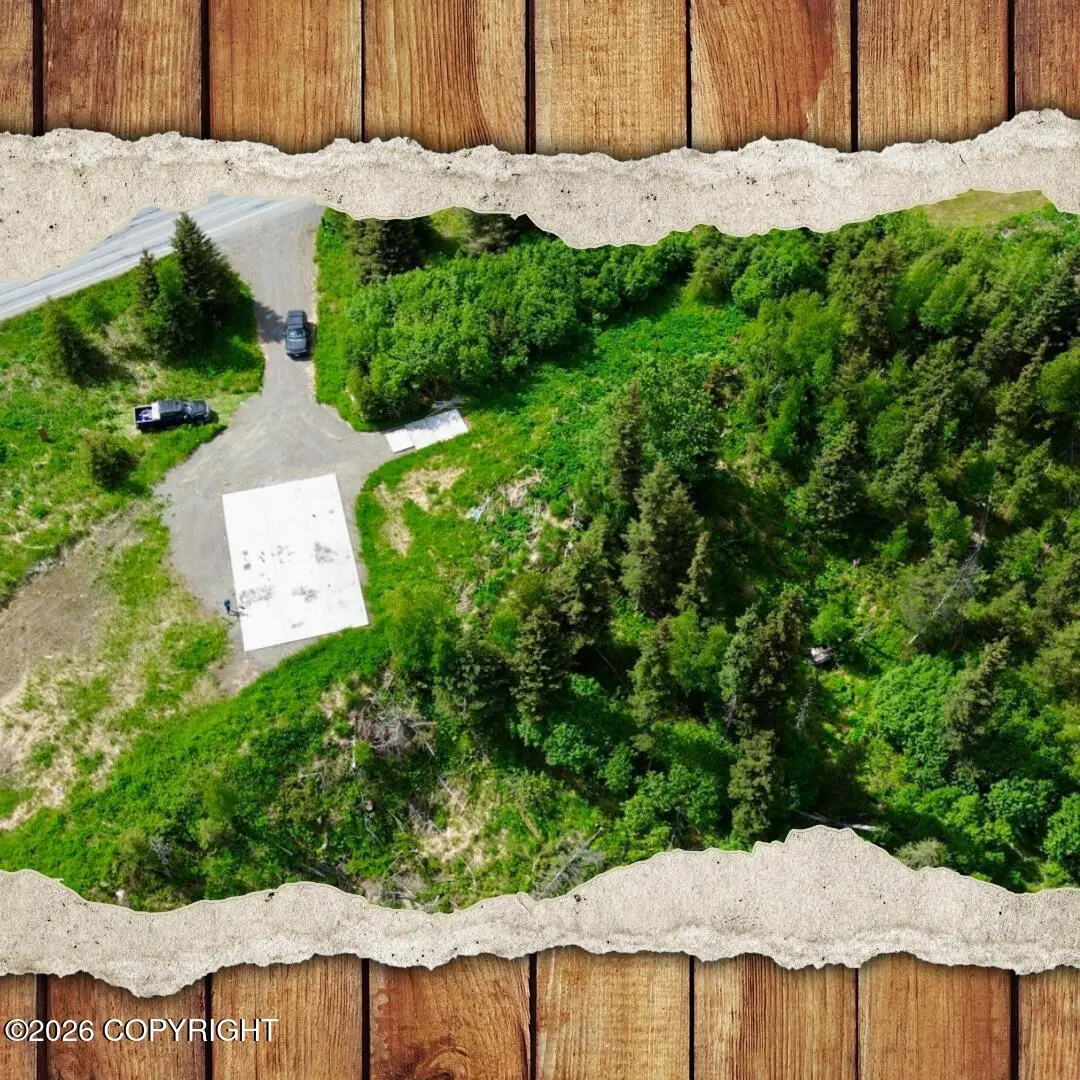 35232 N Fork Road, Anchor Point, AK 99556 - #1