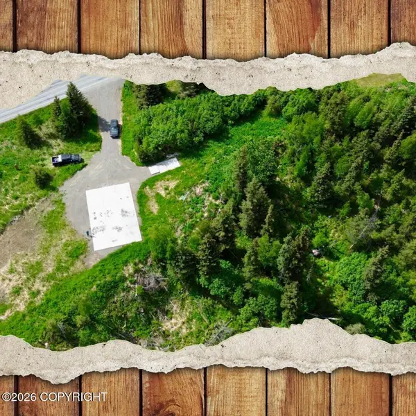 35232 N Fork Road, Anchor Point, AK 99556
